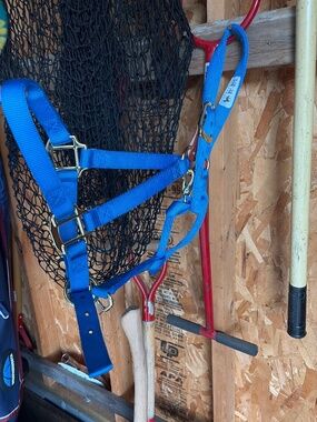 Never used large horse weaver breakaway halter